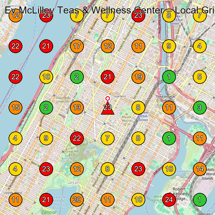 Ev McLilley Teas & Wellness Center Tea Manufacturer GeoGrid ranking map for New York NY